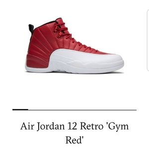 Air Jordan 12 Retro 11.5